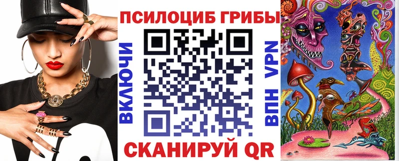 где найти   Зерноград  Галлюциногенные грибы MAGIC MUSHROOMS 