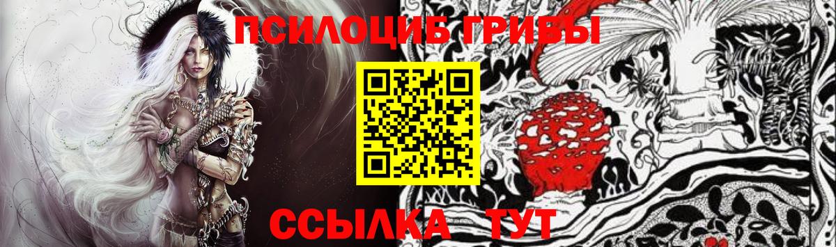Галлюциногенные грибы Psilocybe  Вход с VPN  Зерноград 