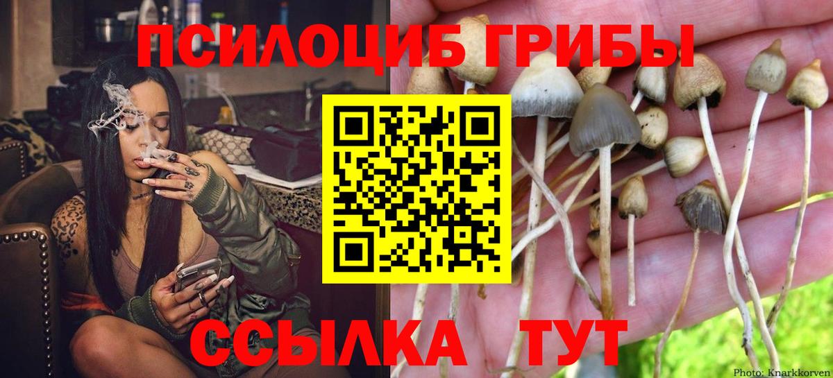 ГАШ  Марихуана  Зерноград  Меф МЯУ МЯУ   Меф МЯУ МЯУ  Alpha PVP СК   Гашиш  Вход с VPN  МАРИХУАНА 