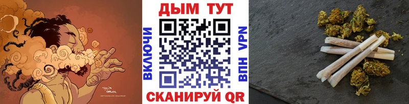 ссылка на мегу маркетплейс  Зерноград  Канабис план  где найти наркотики 