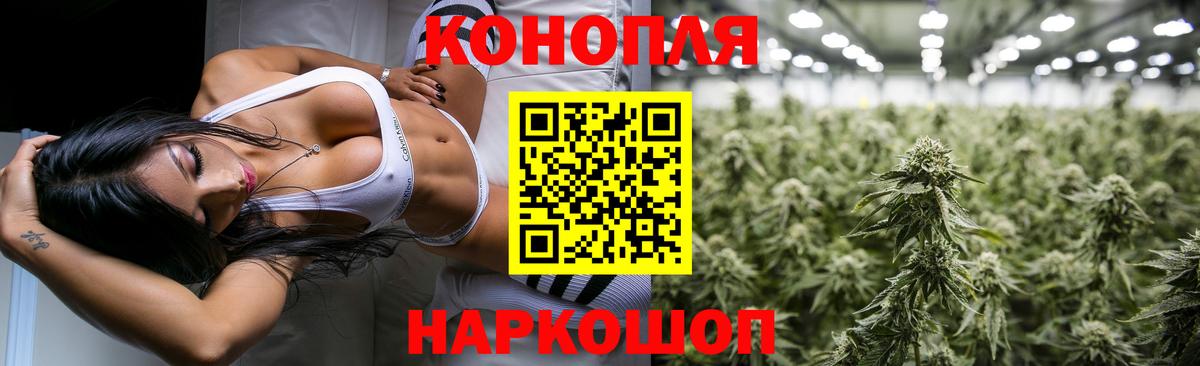 Бошки марихуана OG Kush Зерноград